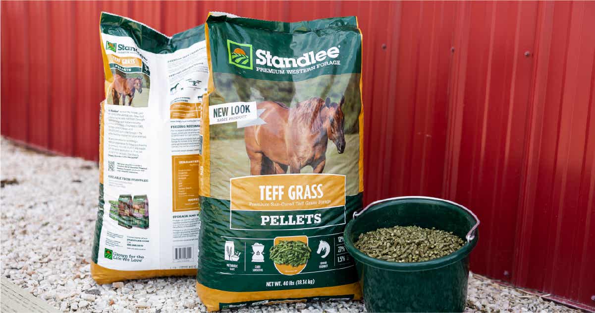 Premium Teff Grass Pellets | Standlee Premium Western Forage