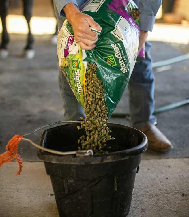 Pouring feed into bucket