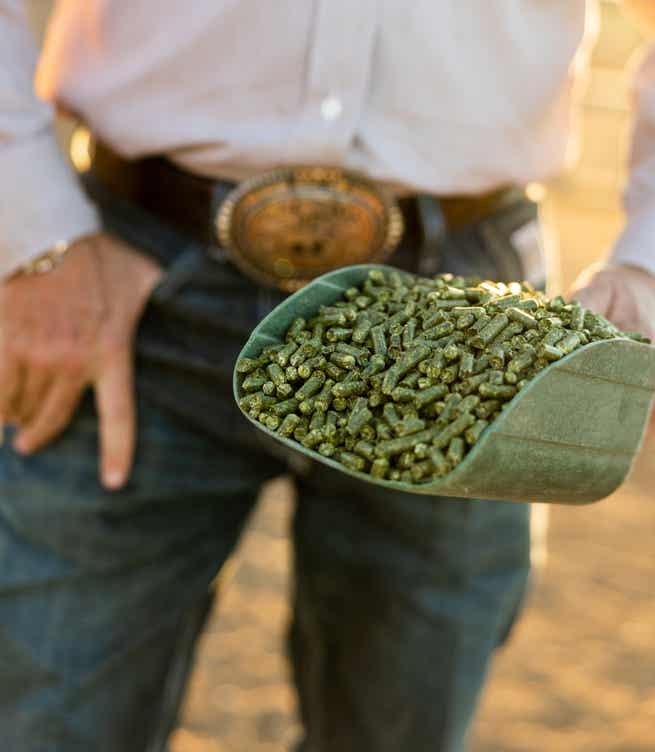 Pouring pellets from scoop